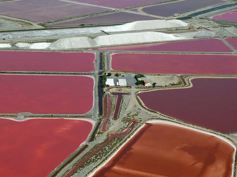 Salin d'Aigues-Mortes