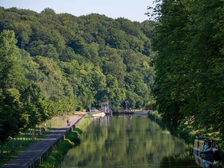 Le long de la Saône