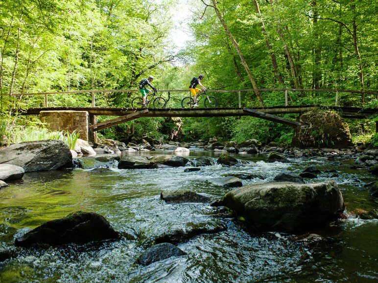 VTTistes au dessus de la vallée du Cousin dans le Morvan