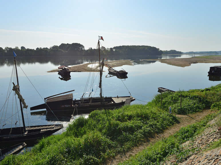 Au fil du fleuve royal : bordez la Loire entre Tours et Saumur