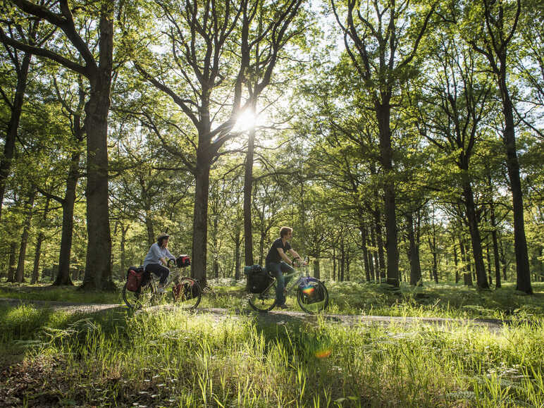 Vélo dans la Vallée de Chevreuse - La Véloscénie