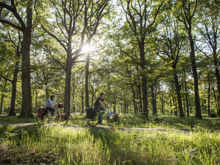 A vélo dans la Vallée de Chevreuse