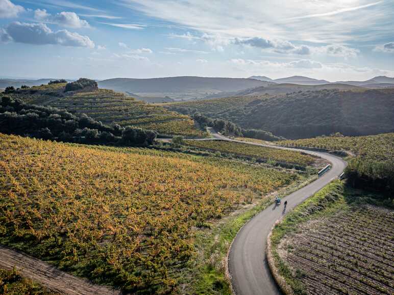 La Véloccitanie et les vignes héraultaises