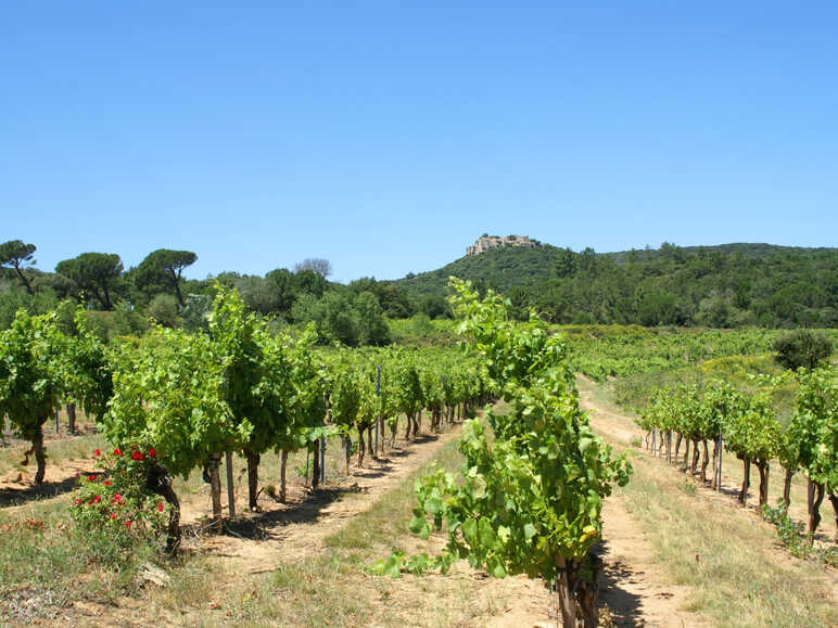 Une dégustation de côte du Rhône