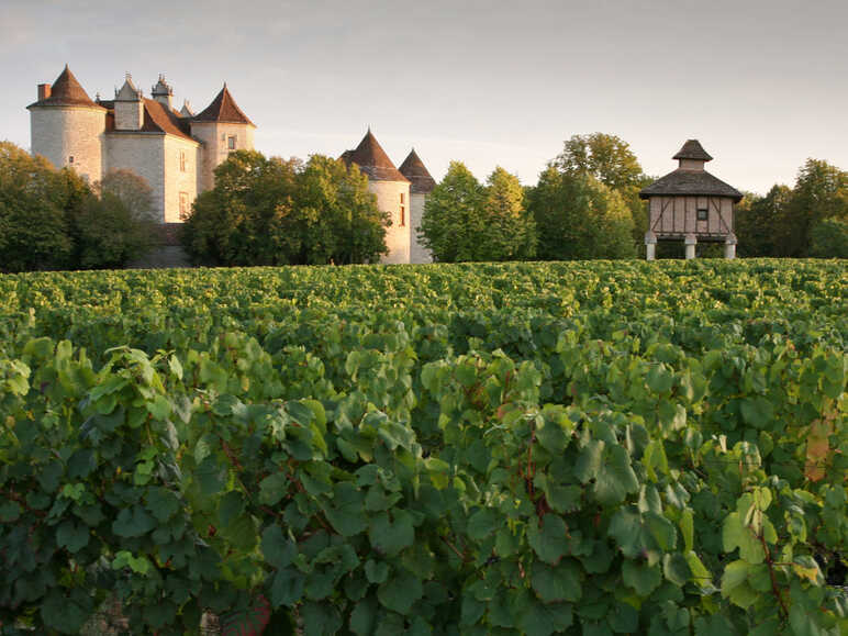 Le vin de Cahors