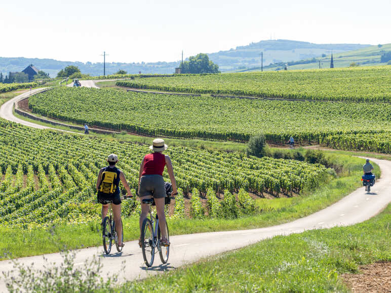 Voie des Vignes à vélo