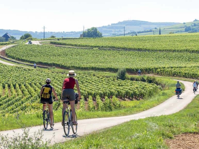 Depuis Dijon : la Voie des Vignes